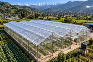 Agriculture & Infrastructure